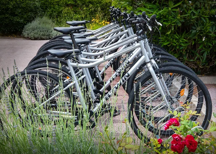 Hôtel accueillant les animaux: SOWELL HOTELS Saint Tropez